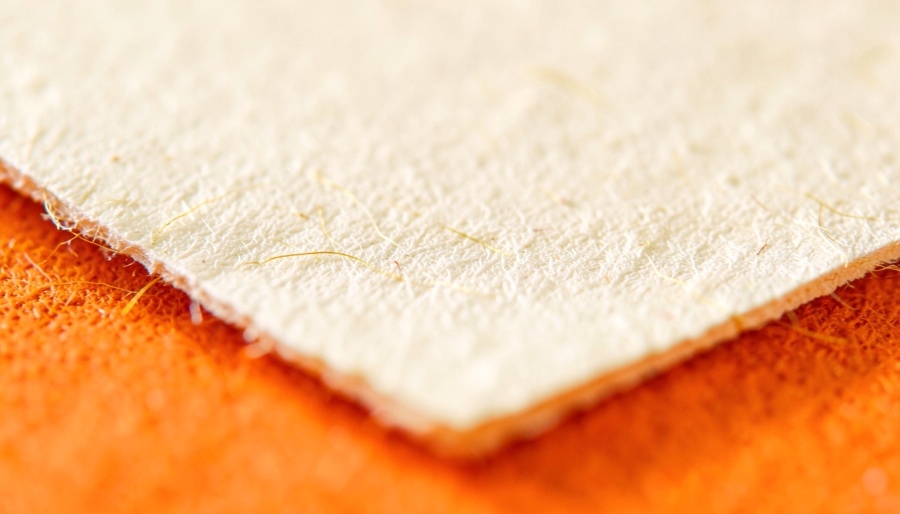 Warm close-up of textured cream paper with subtle golden fibers, soft natural lighting